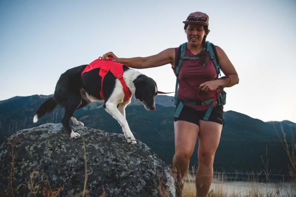 Ruffwear Web Master Hundegeschirr Red Canyon Gr. XXS Ruffwear Web Master Hundegeschirr Red Canyon Gr. XXS